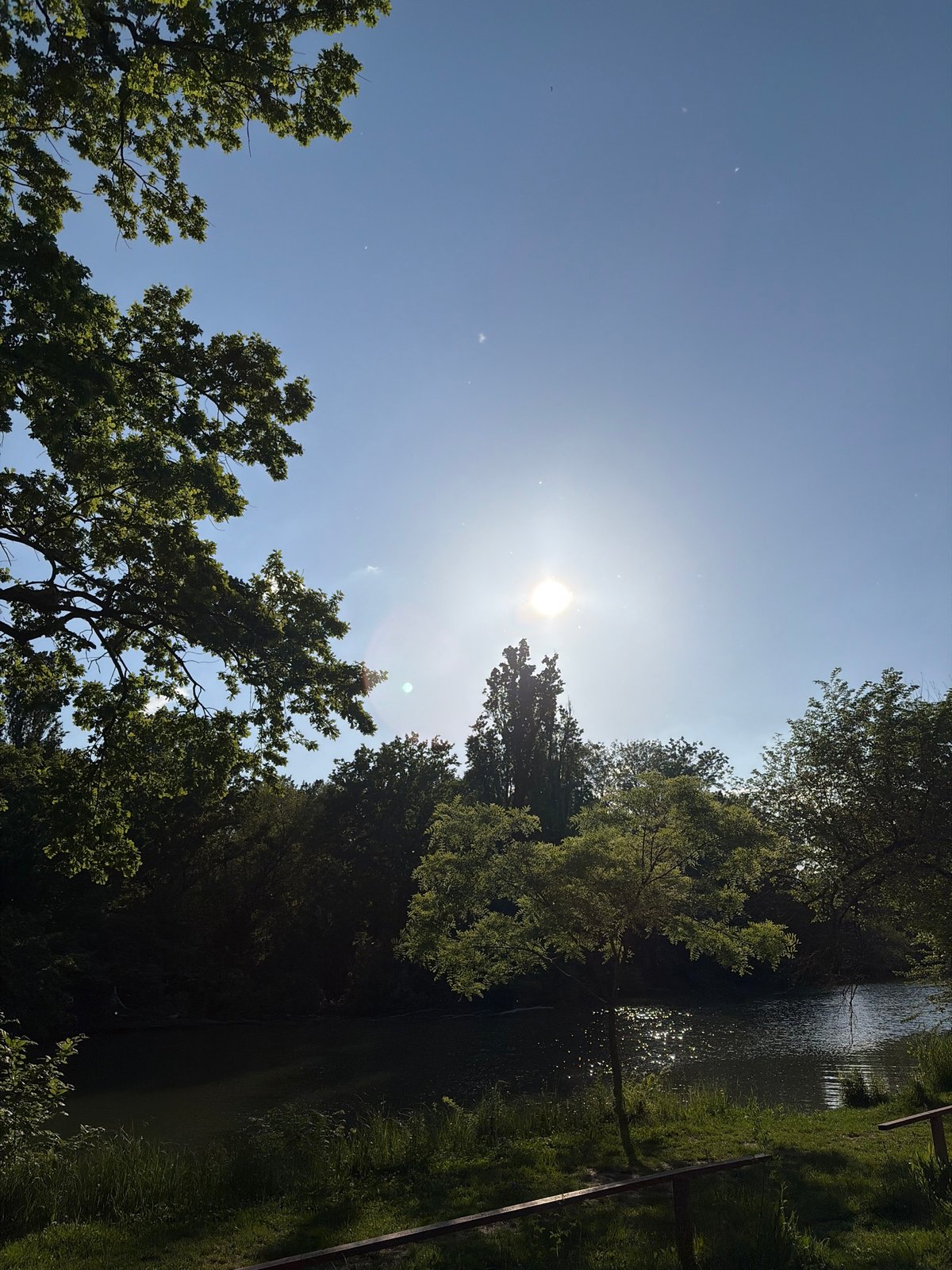 Afternoon sky and tree documentation in Krasnodar park