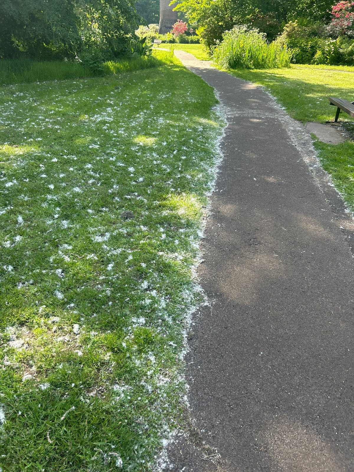 Park visitors document pathways, brick tower, stroller during afternoon walk