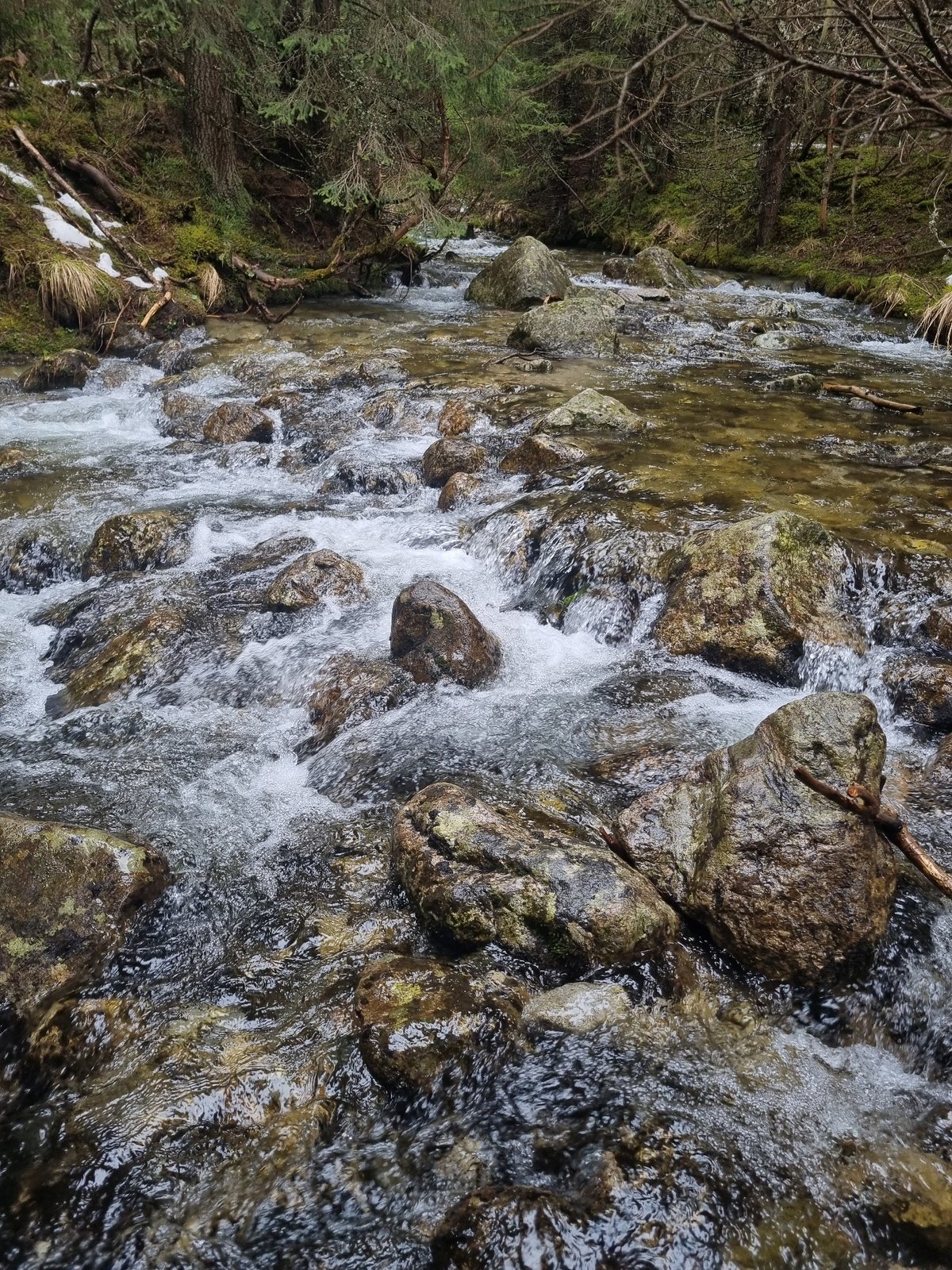 Hiker crosses forest stream in Bulgarian mountains
