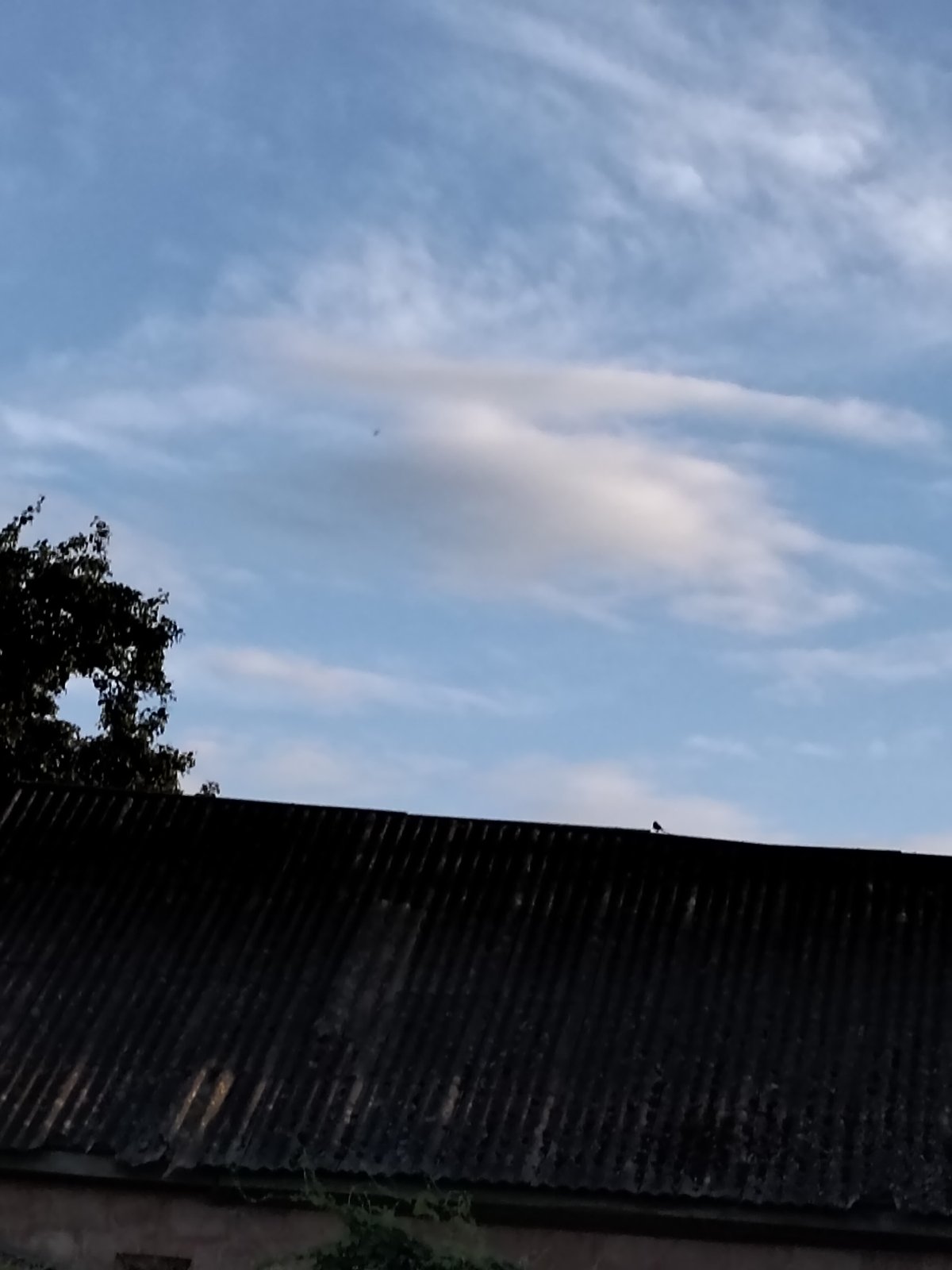 Quiet afternoon on a rural homestead in Ustyvytsia, Ukraine