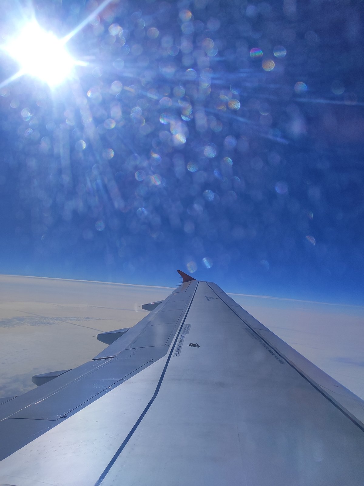 Passenger documents morning flight with wing views and cabin interior