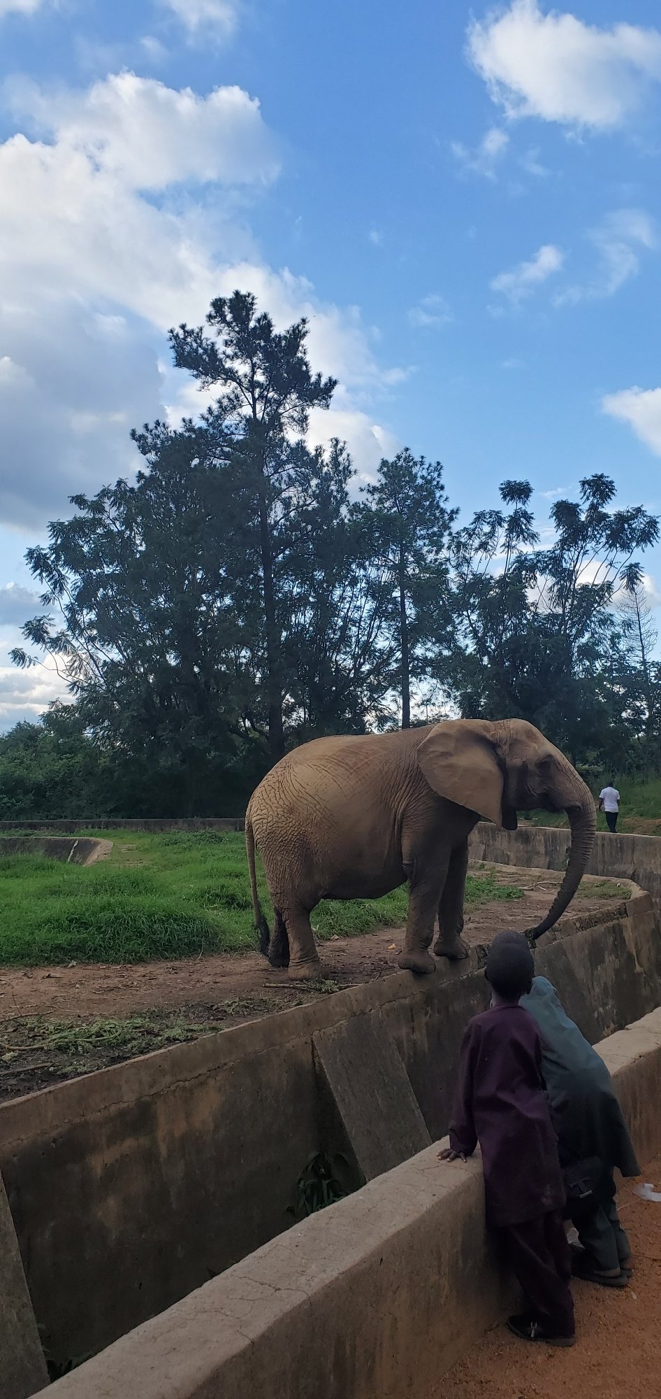 Afternoon at a Jos wildlife park, various animals on view