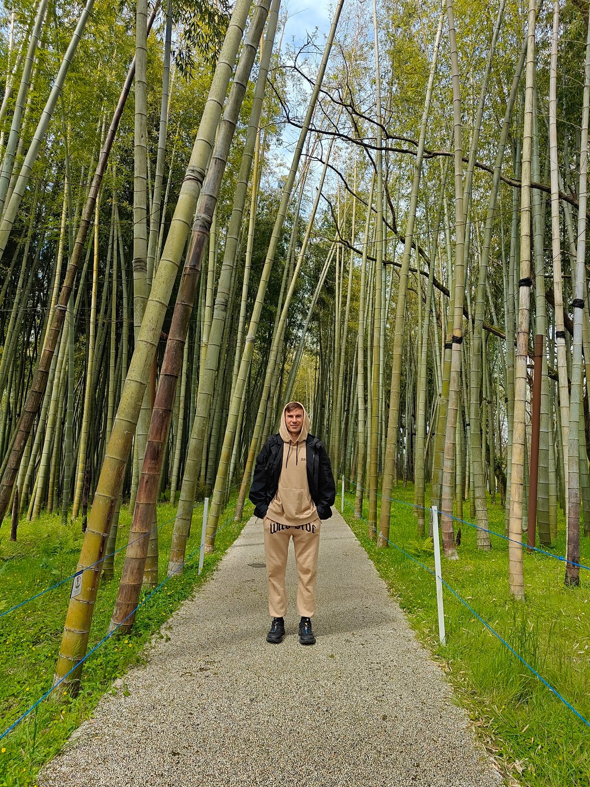 Visitor documents peaceful morning walk through Shekvetili botanical gardens