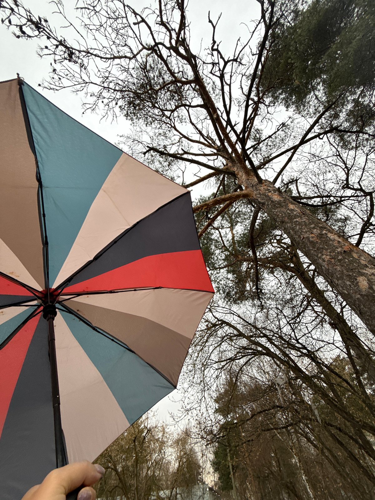 Rainy afternoon umbrella use documented in Dmitrov, Russia