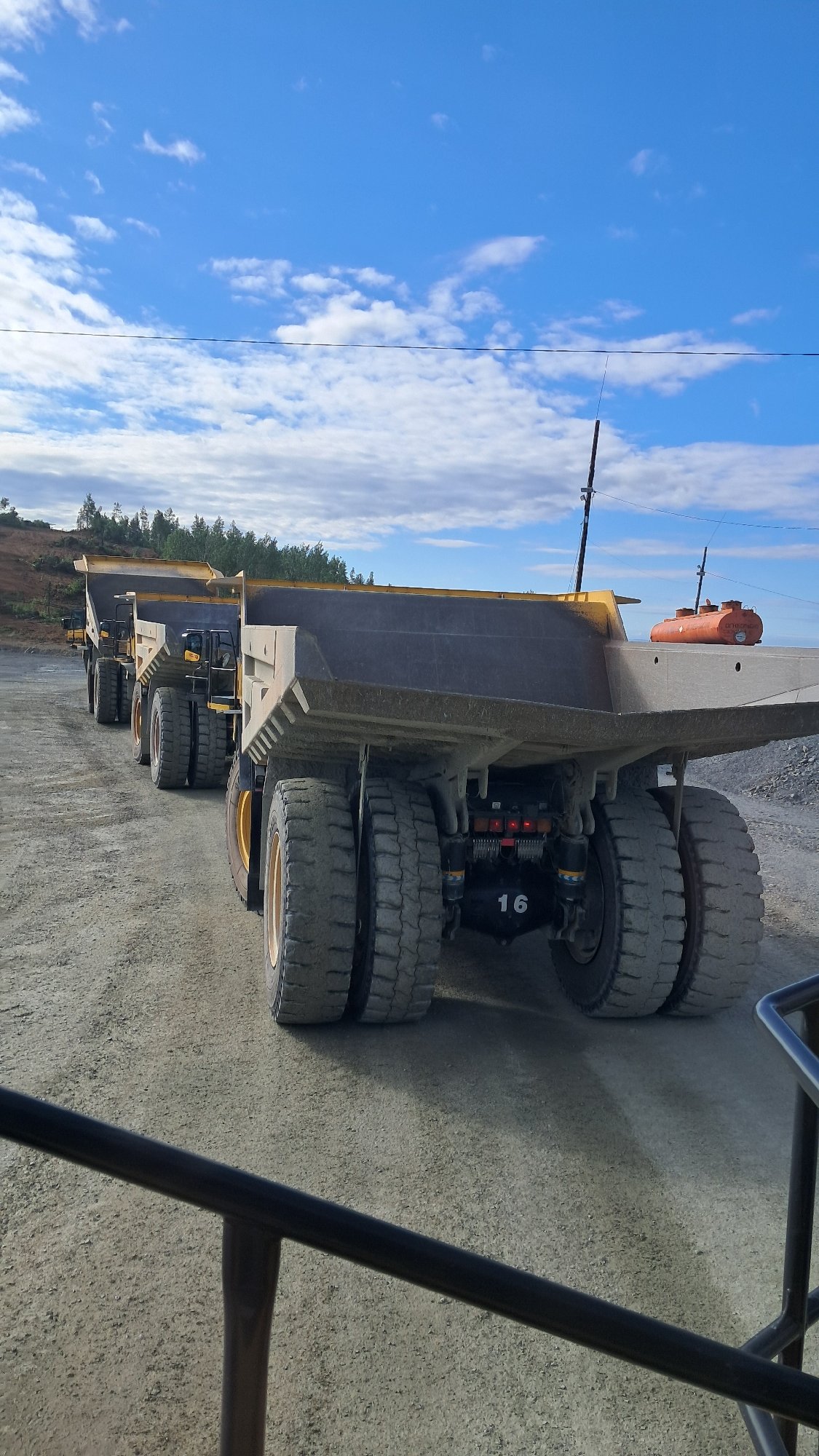 Dump trucks and zoo animals, two scenes from Russia