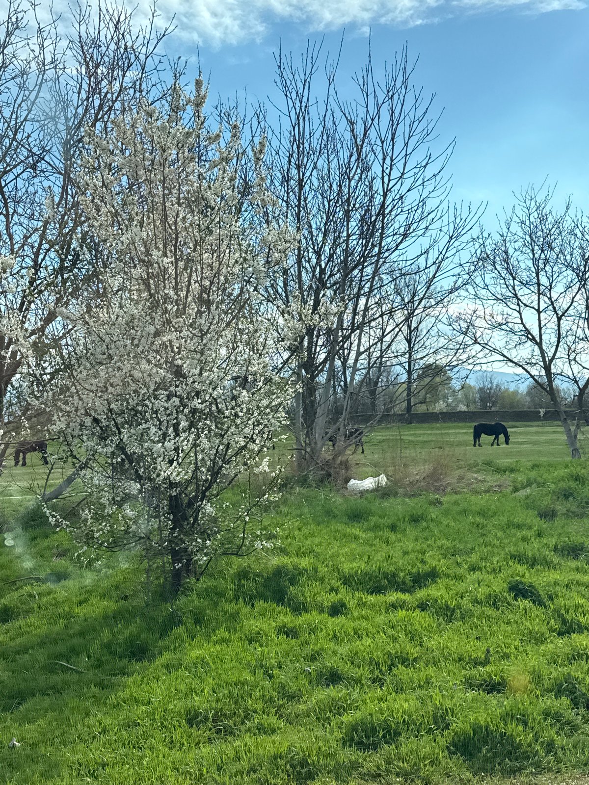 Spring afternoon snapshots captured across Sofia neighborhoods