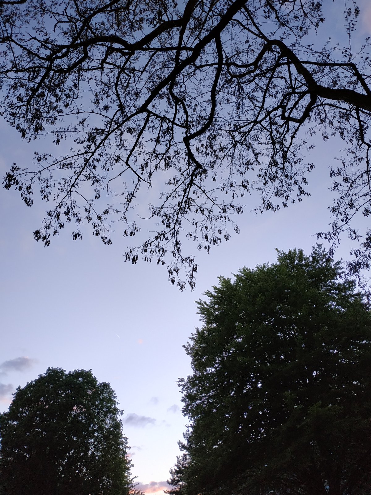 Observer documents ordinary afternoon scenes across Dortmund residential areas