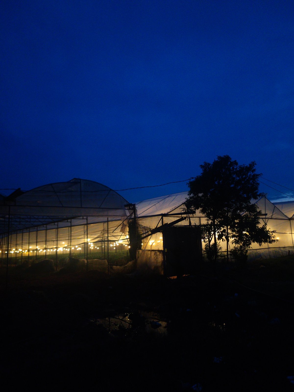 Morning scenes captured in Da Lat's Cam Ly district