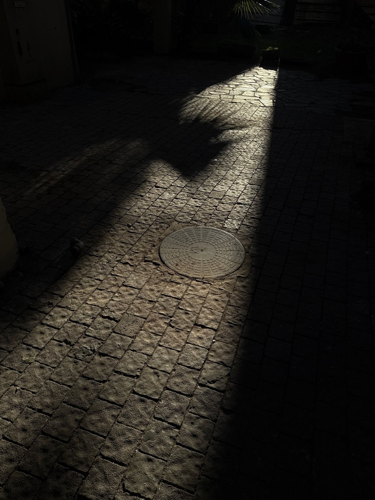 Early morning cobblestone street scene documented in Tel-Aviv
