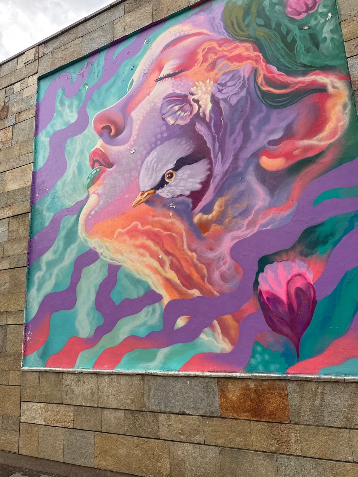 Street Art Documentation Tour Captured Across Sofia Bulgaria