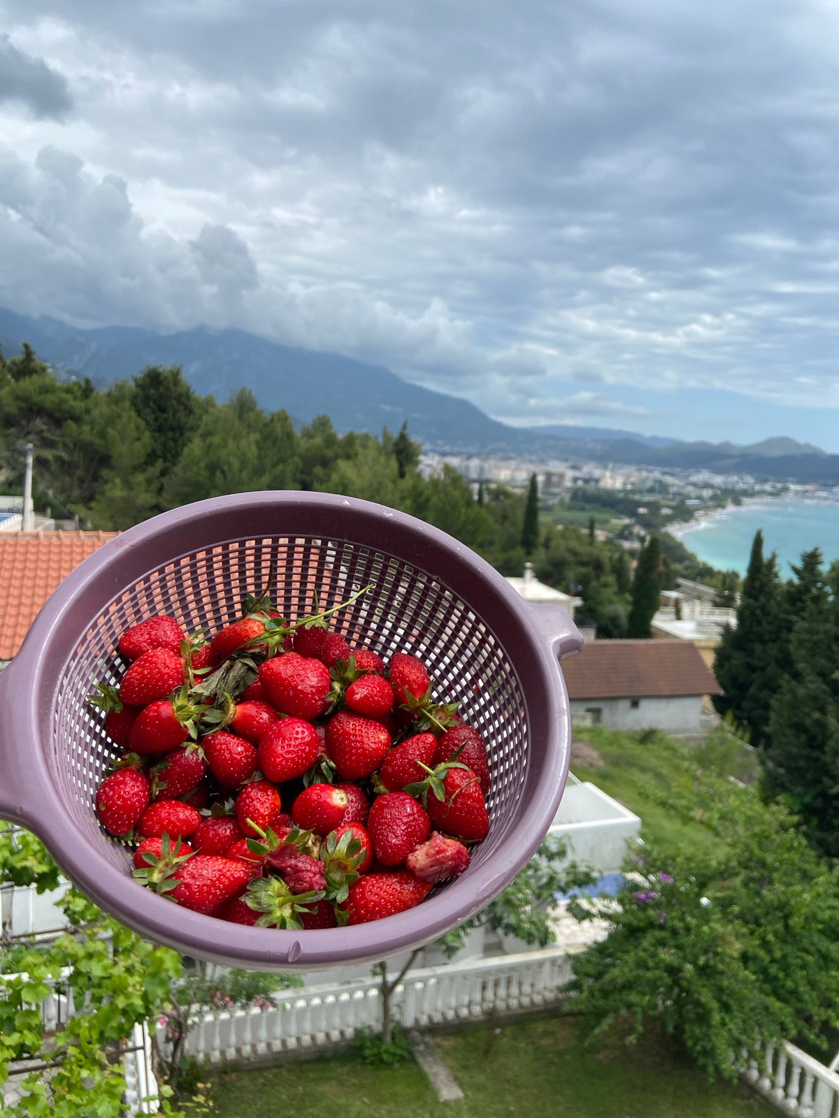 Man enjoys fresh strawberries on balcony in Montenegro