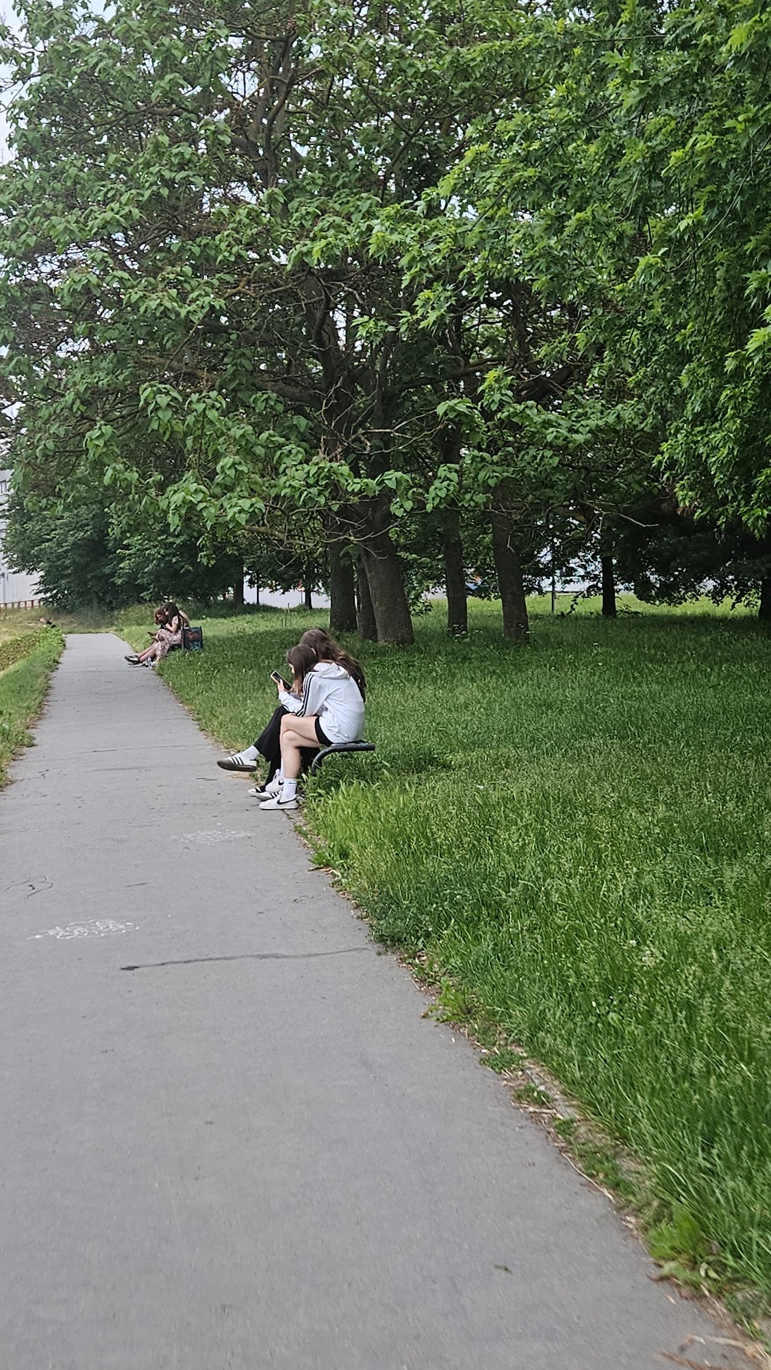 Park pathway scene documented in Prešov, Slovakia