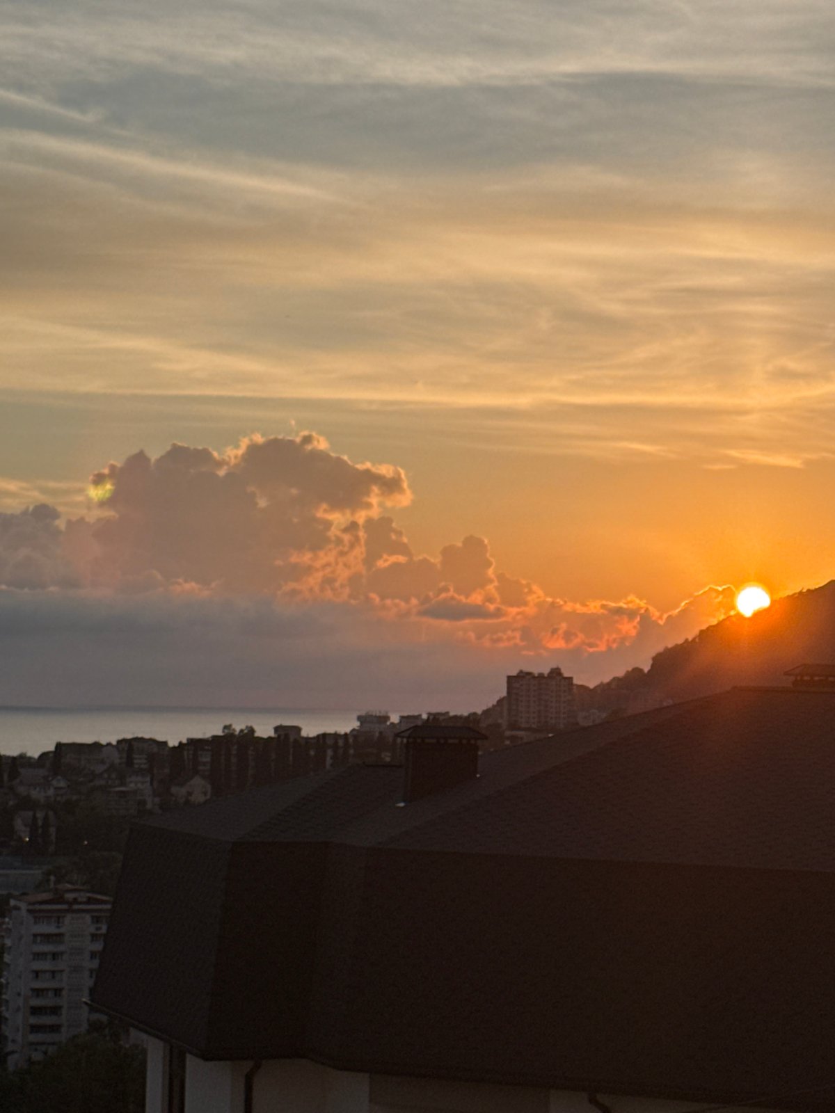 Bengal cat enjoys sunset golden hour in Sochi apartment