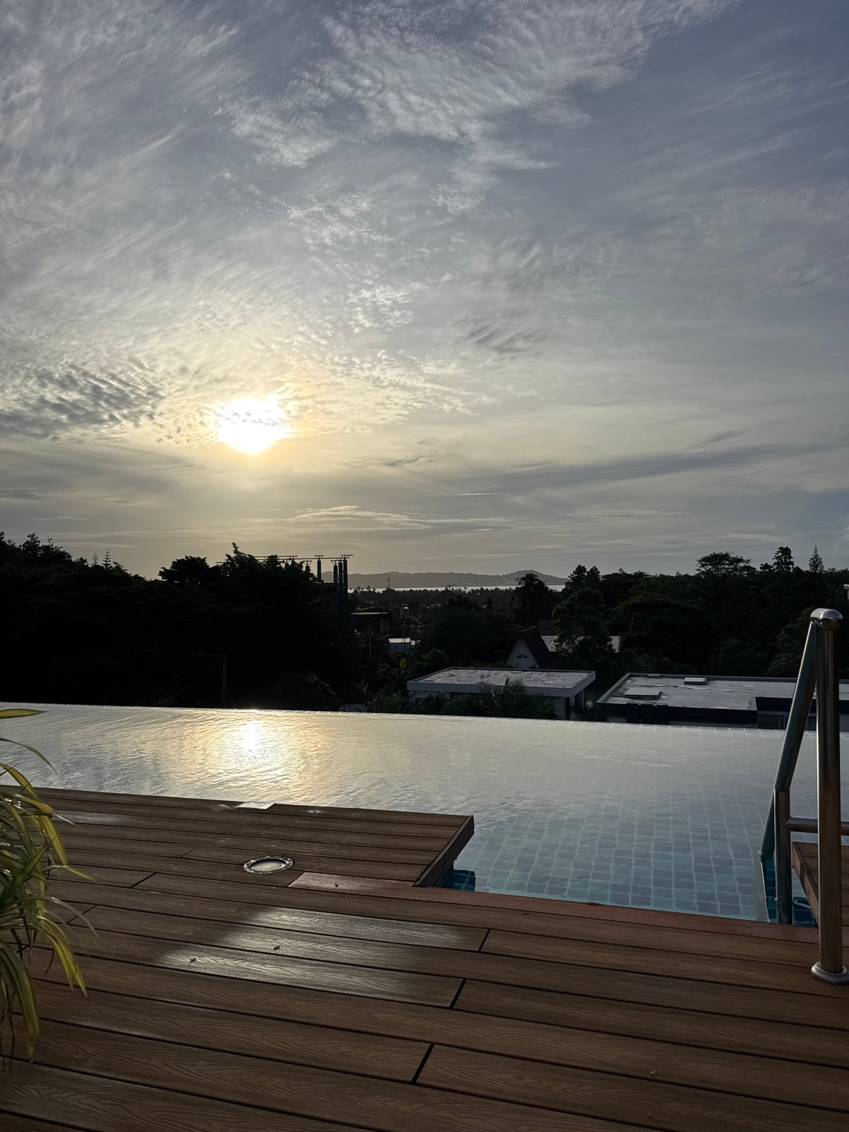 Morning documentation of tropical life in Rawai, Thailand
