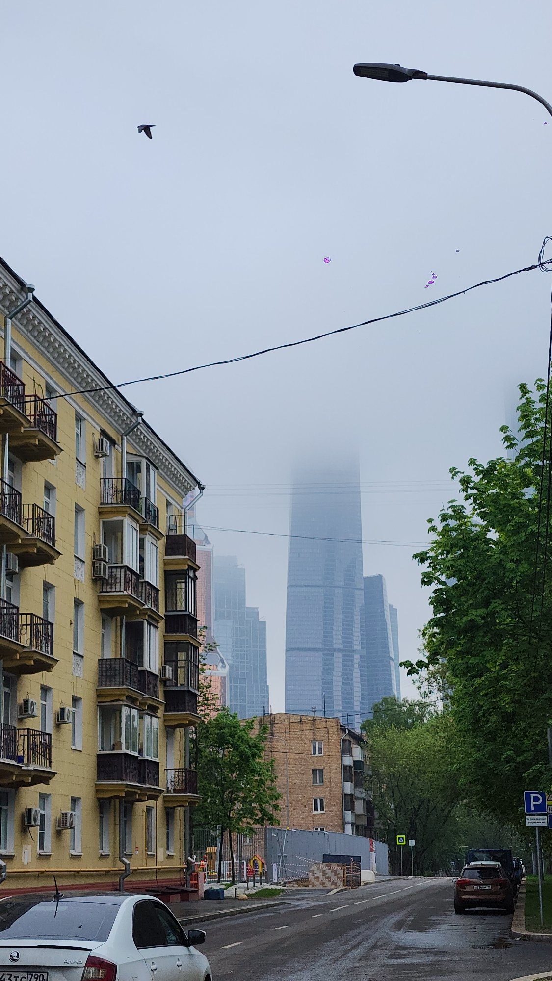 Moscow resident documents morning domestic scenes and neighborhood views