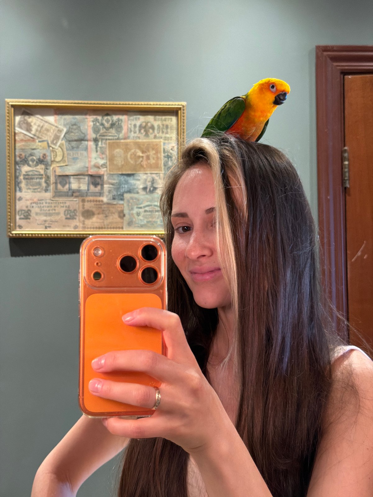 Person takes selfie with parrot perched on head