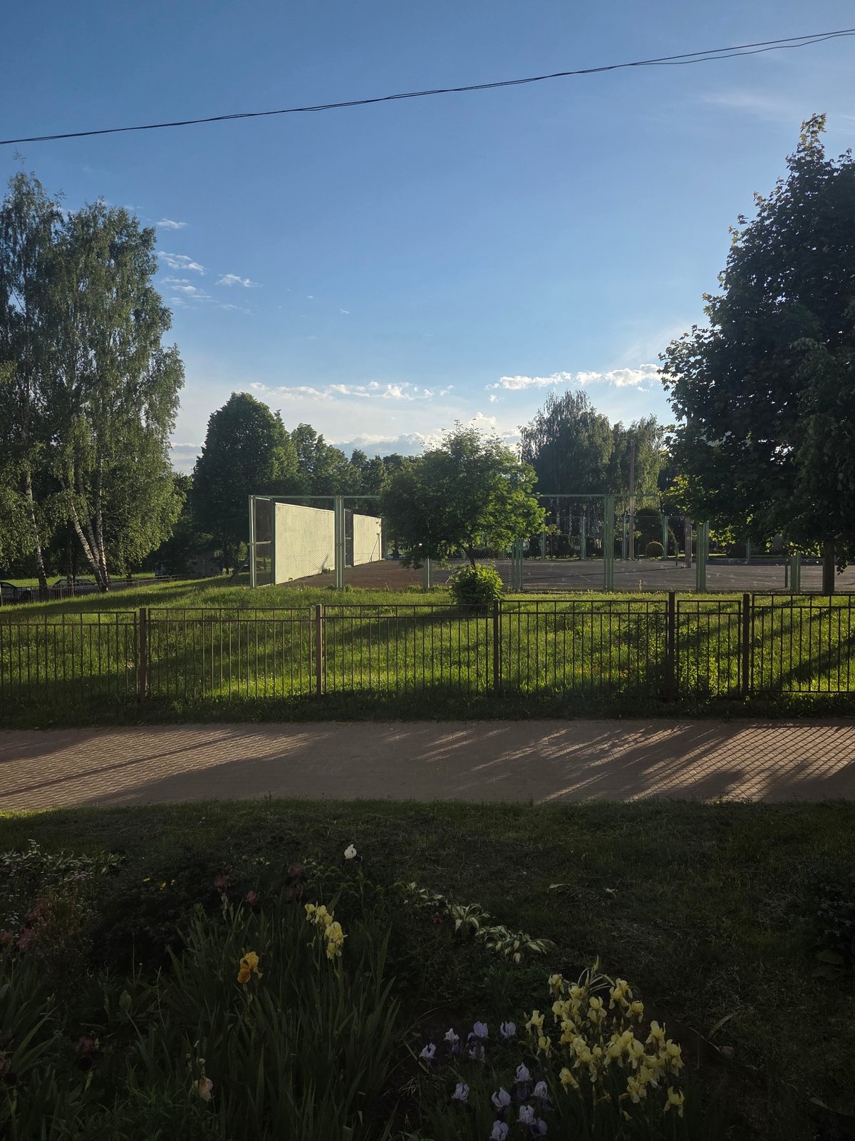 Witnesses document pets, wildlife, and street scenes during afternoon