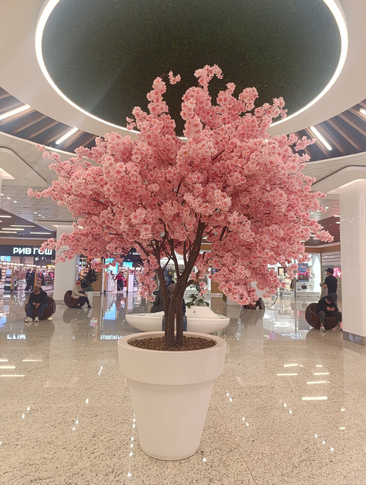 Family shopping day documented at Moscow mall