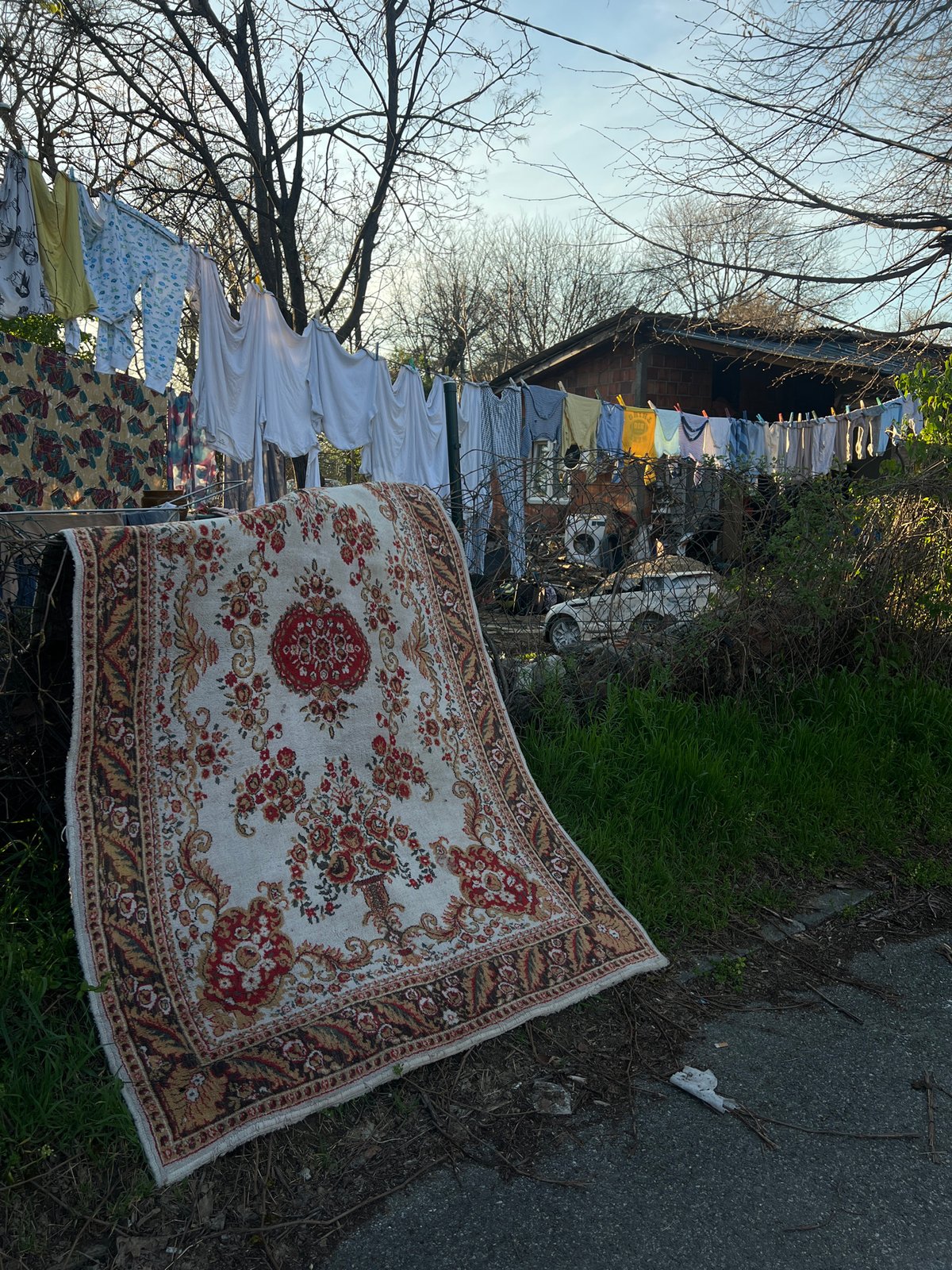 Domestic scene captured in Belgrade outdoor space