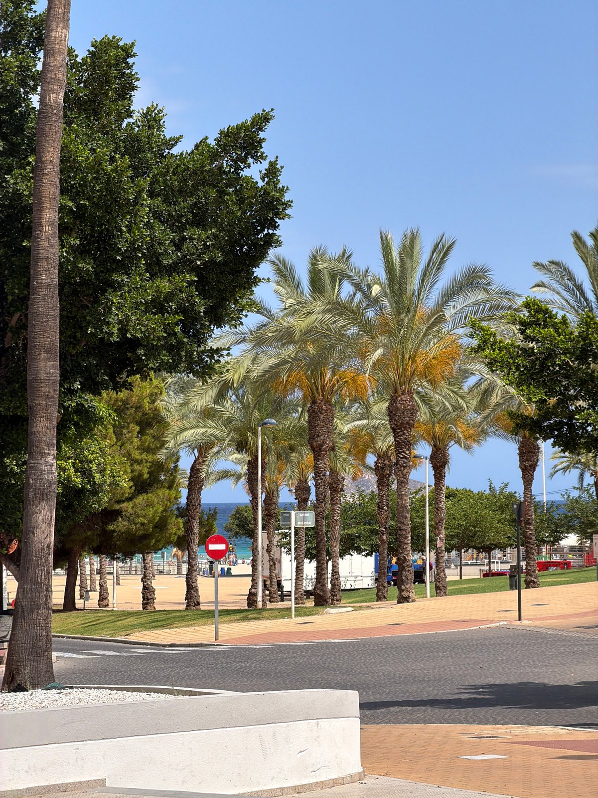 Sunny afternoon along the palm-lined seafront in La Vila Joiosa
