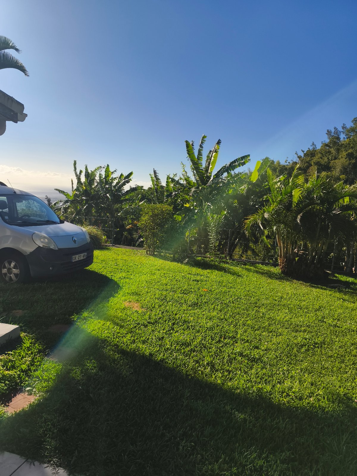 Sunny yard and garden details in Saint-Denis, Réunion