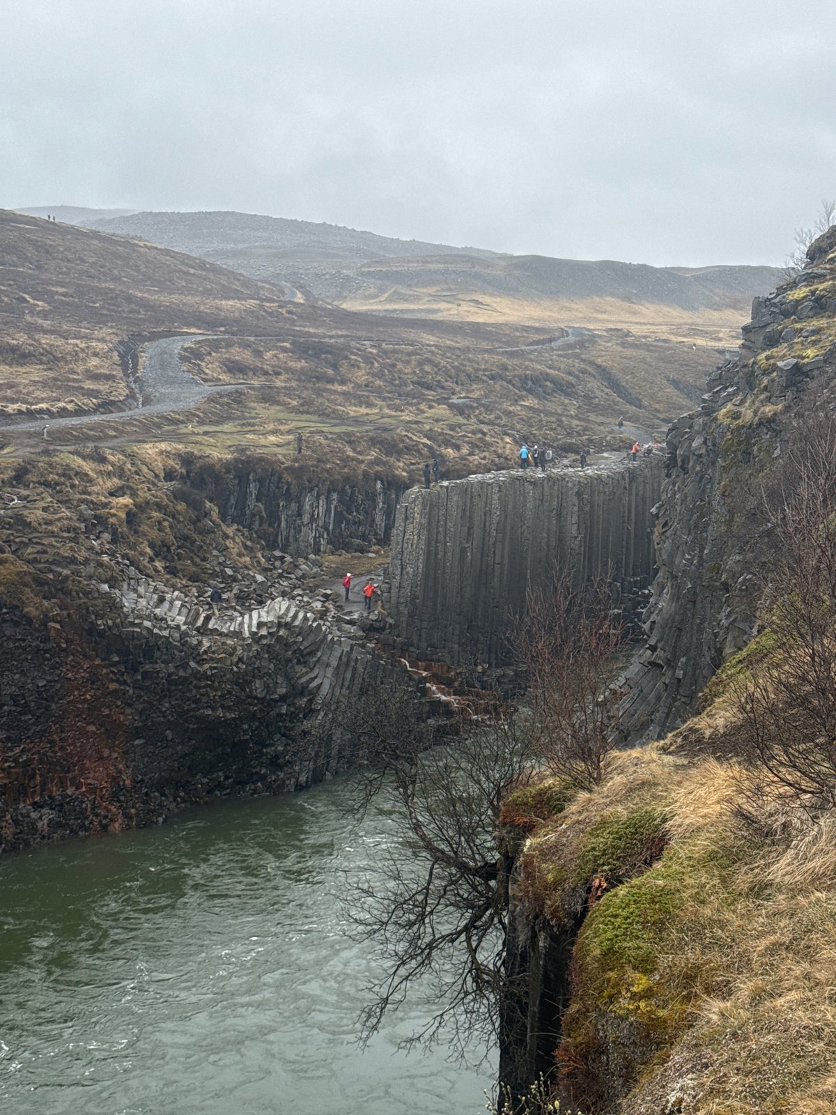 Tourist captures Iceland's dramatic basalt columns and turbulent river