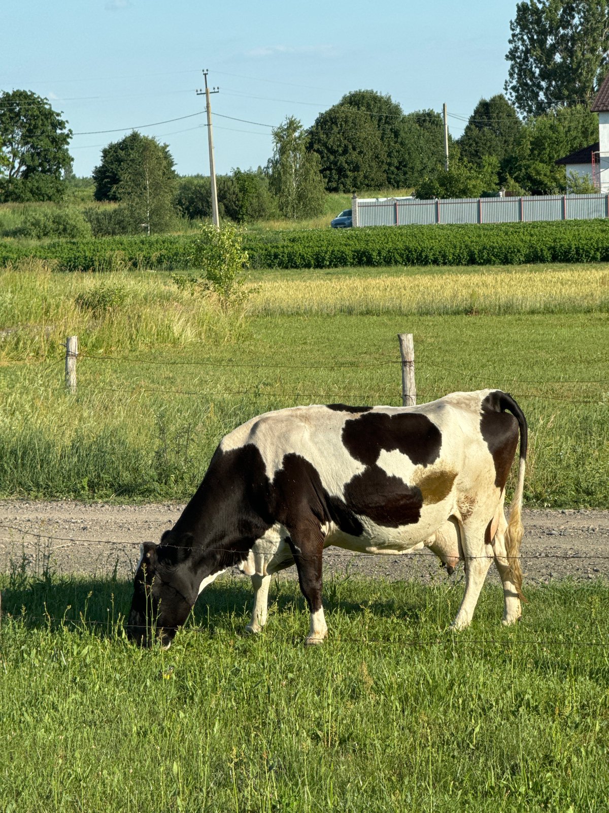 Lazy summer afternoon in a rural Ukrainian village