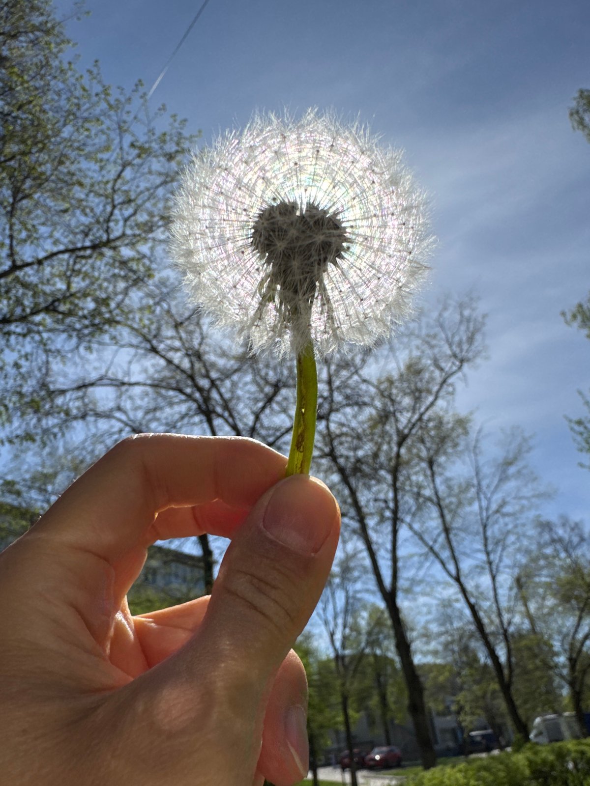 Spring morning moments captured across Chaikovsky, Russia