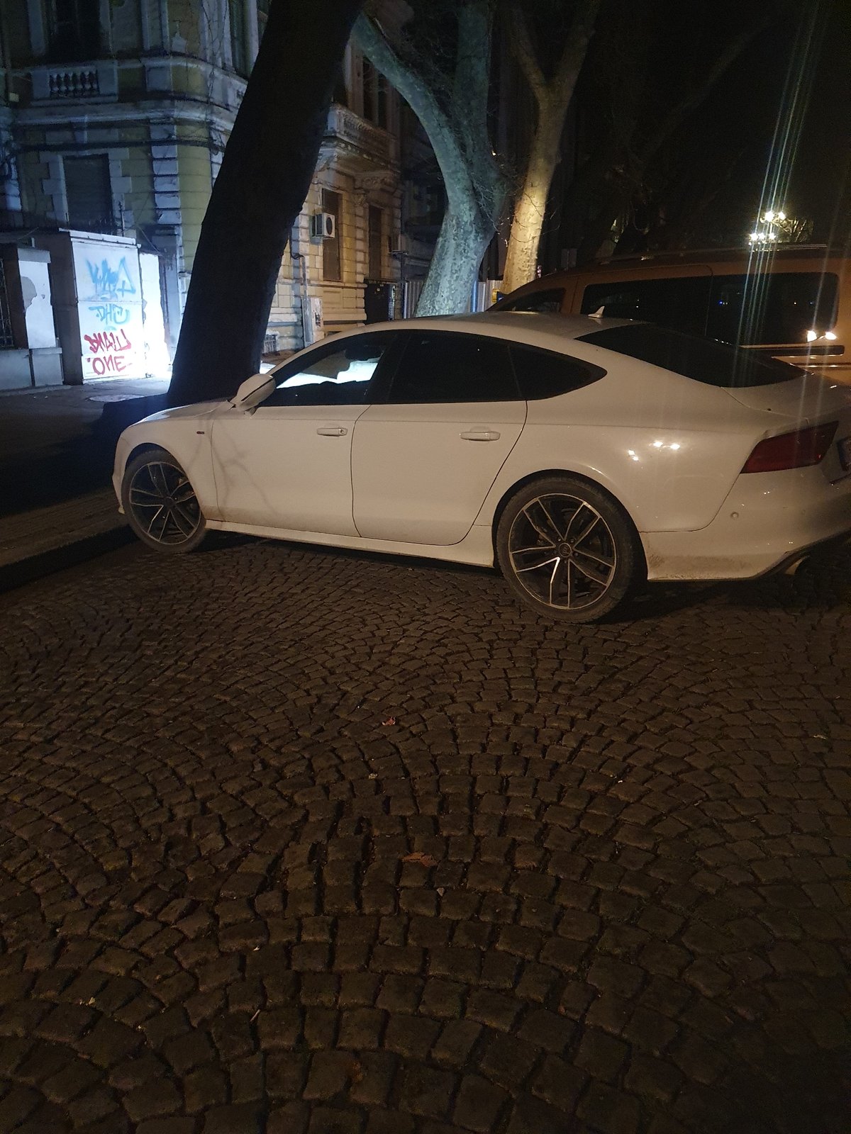 Evening street scenes and wildlife spotted in Plovdiv