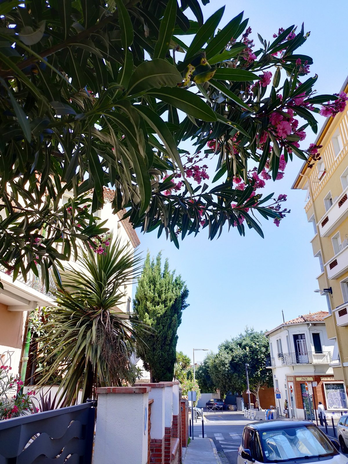 Morning street-level tour through sunny Perpignan neighborhoods