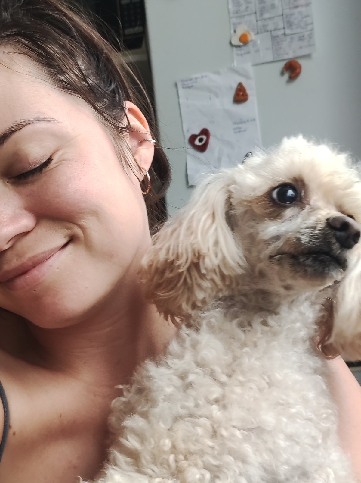 Indoor snapshots with a poodle and coffee in Chaikovsky