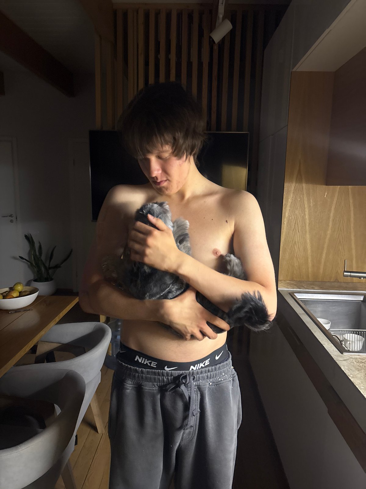 Domestic moments with pets and flowers documented in Chaikovsky
