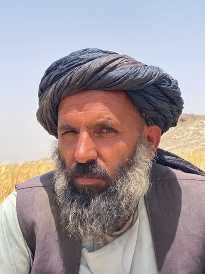 Afghan farmers observed in wheat fields during morning hours