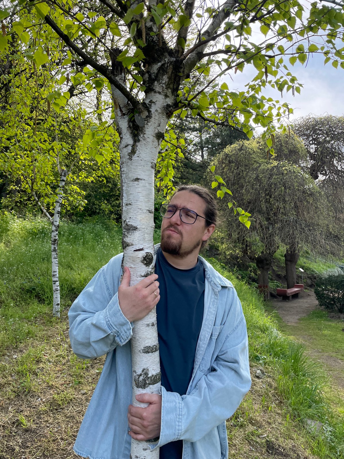 Man embraces birch tree in Tbilisi park