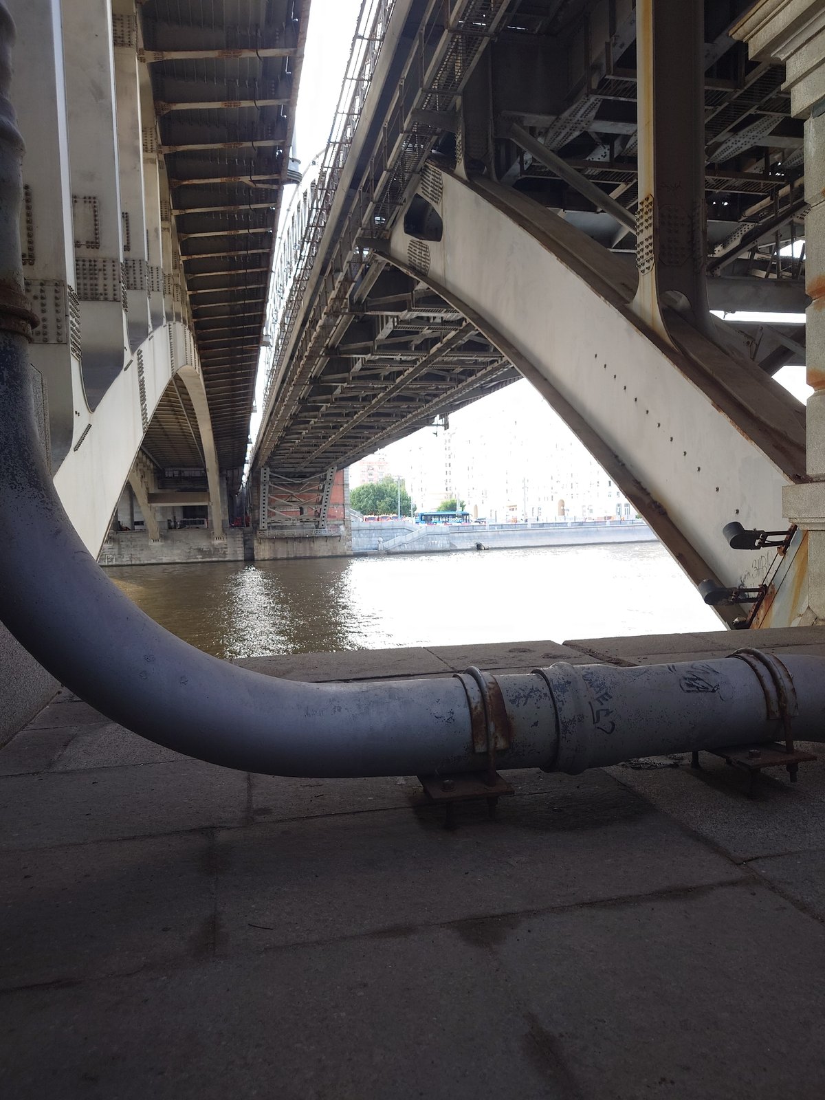 Afternoon stroll along the Moskva River, bridges and birds