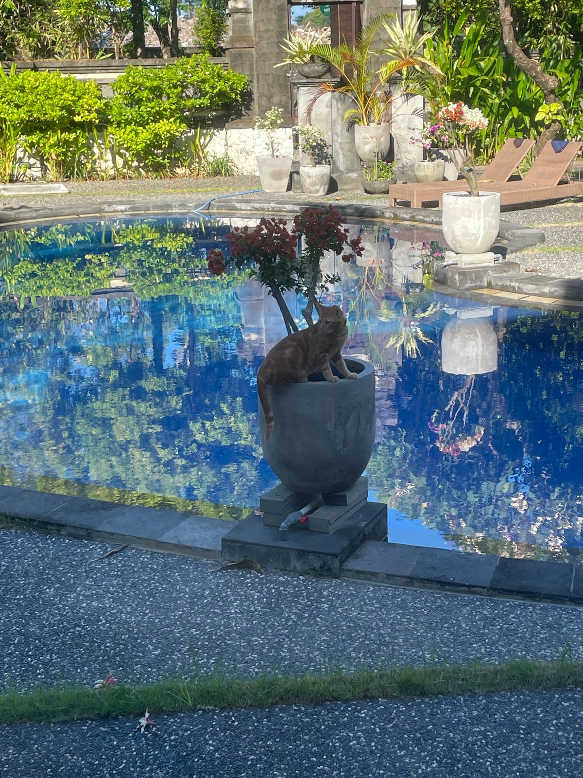 Poolside scene documented in Kuta Selatan, Indonesia