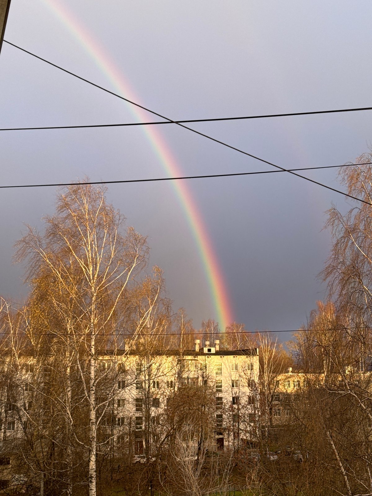 Rainbow observed across grey-blue sky April 28