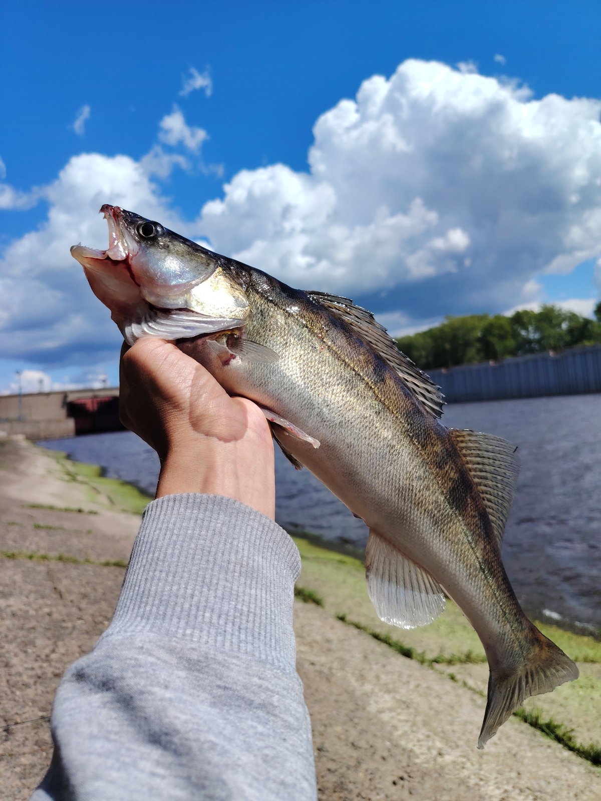 Morning fishing trip documented along Kama River in Chaikovsky