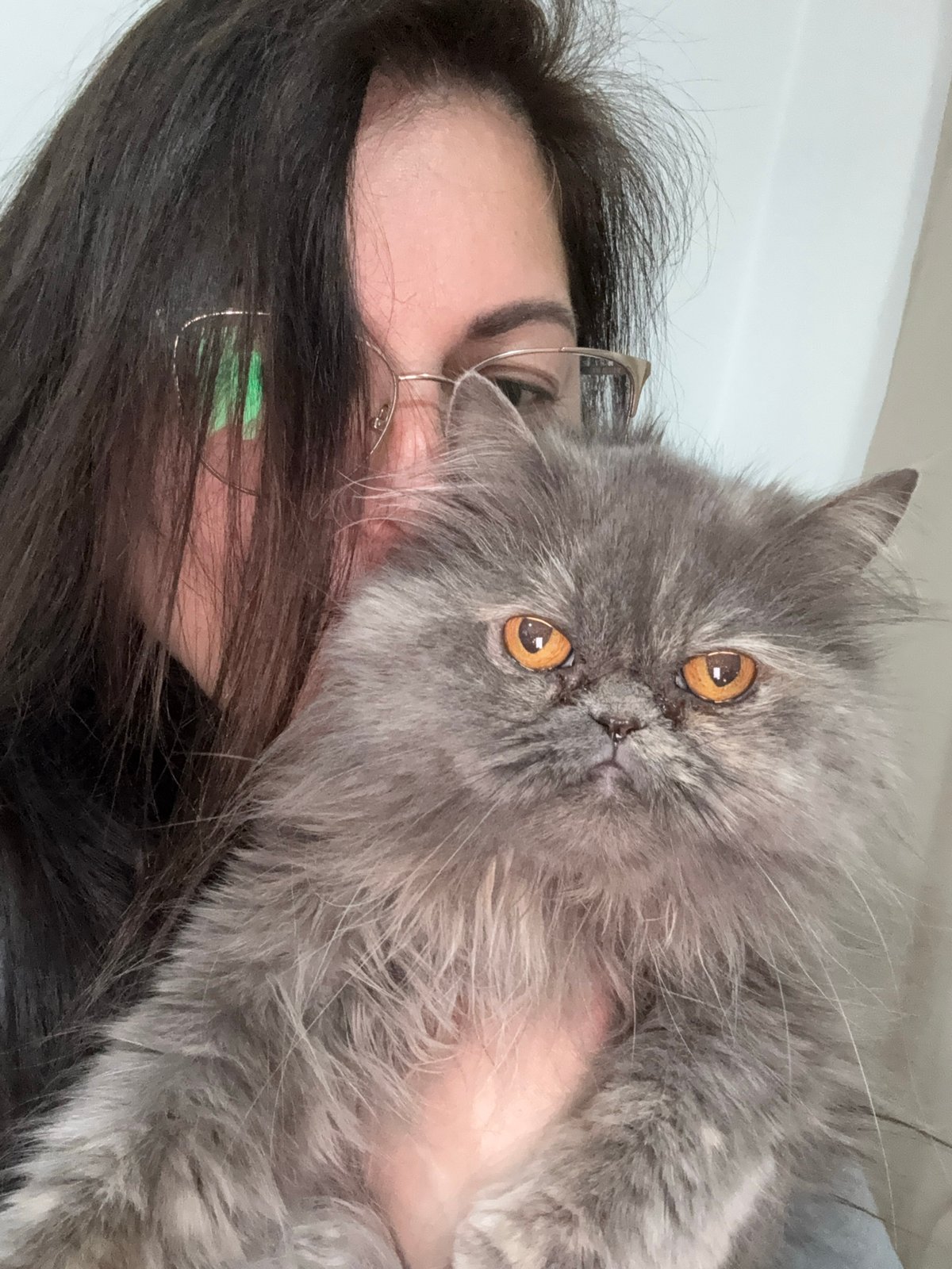 Burgas resident captures moments with Persian cat and citrus tree