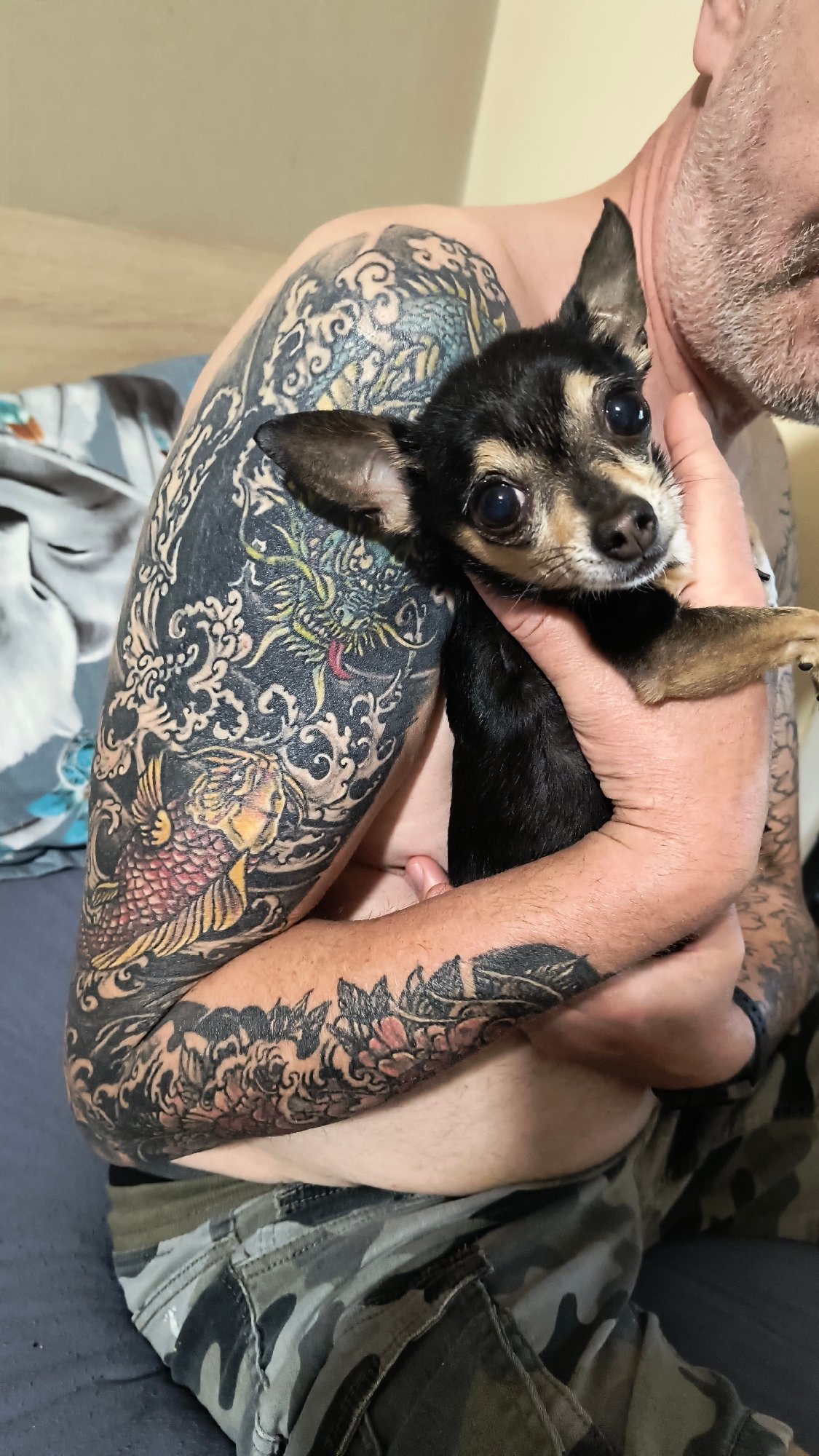 Sofia resident documents guitars, pets, and neighborhood scenes