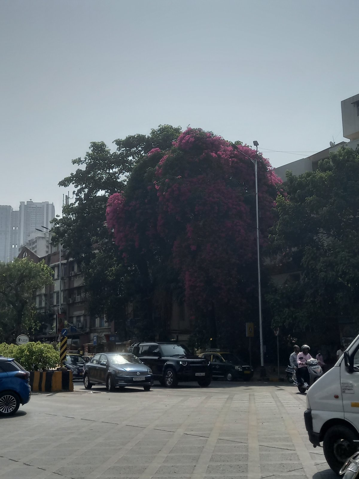 Morning street life captured near Mumbai's One International Center