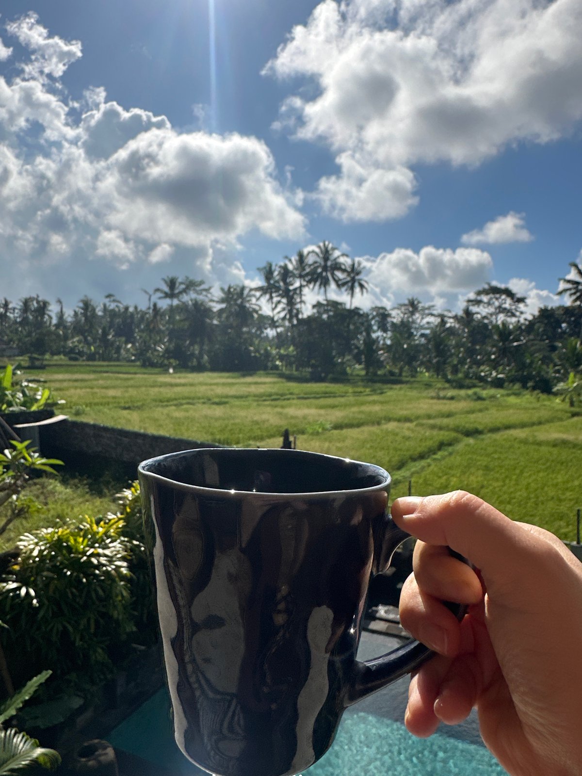 Morning coffee moment overlooking rural rice fields captured