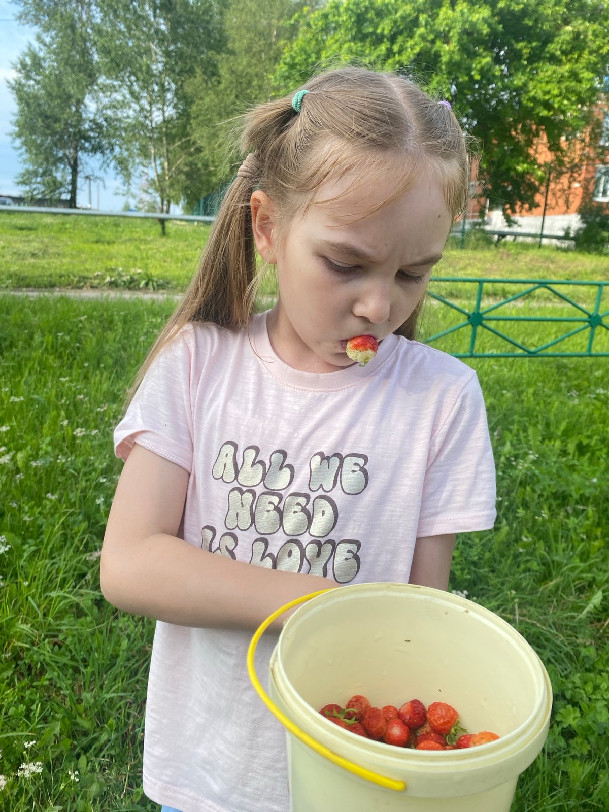 Strawberry picking and garden exploration in Novo Selo