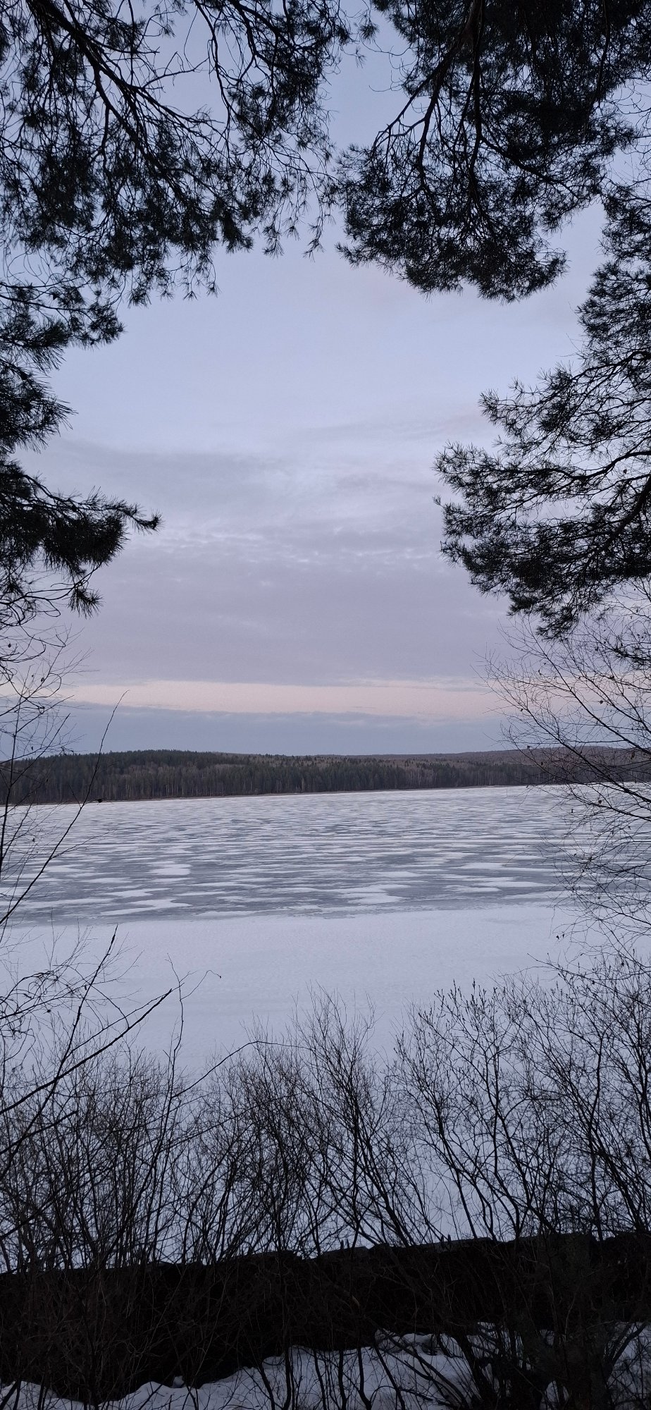 Winter forest documentation captured in Chaikovsky, Russia