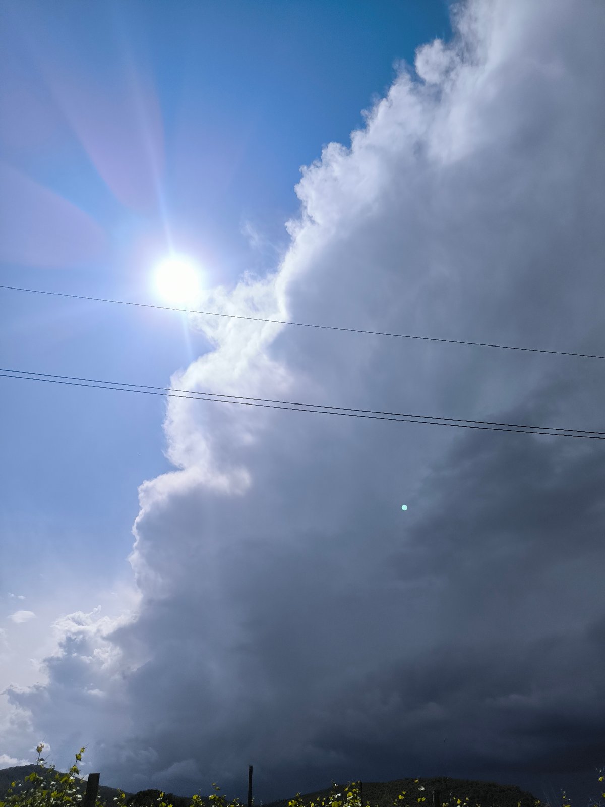 Dramatic storm clouds contrast bright sunshine over Spanish vineyards