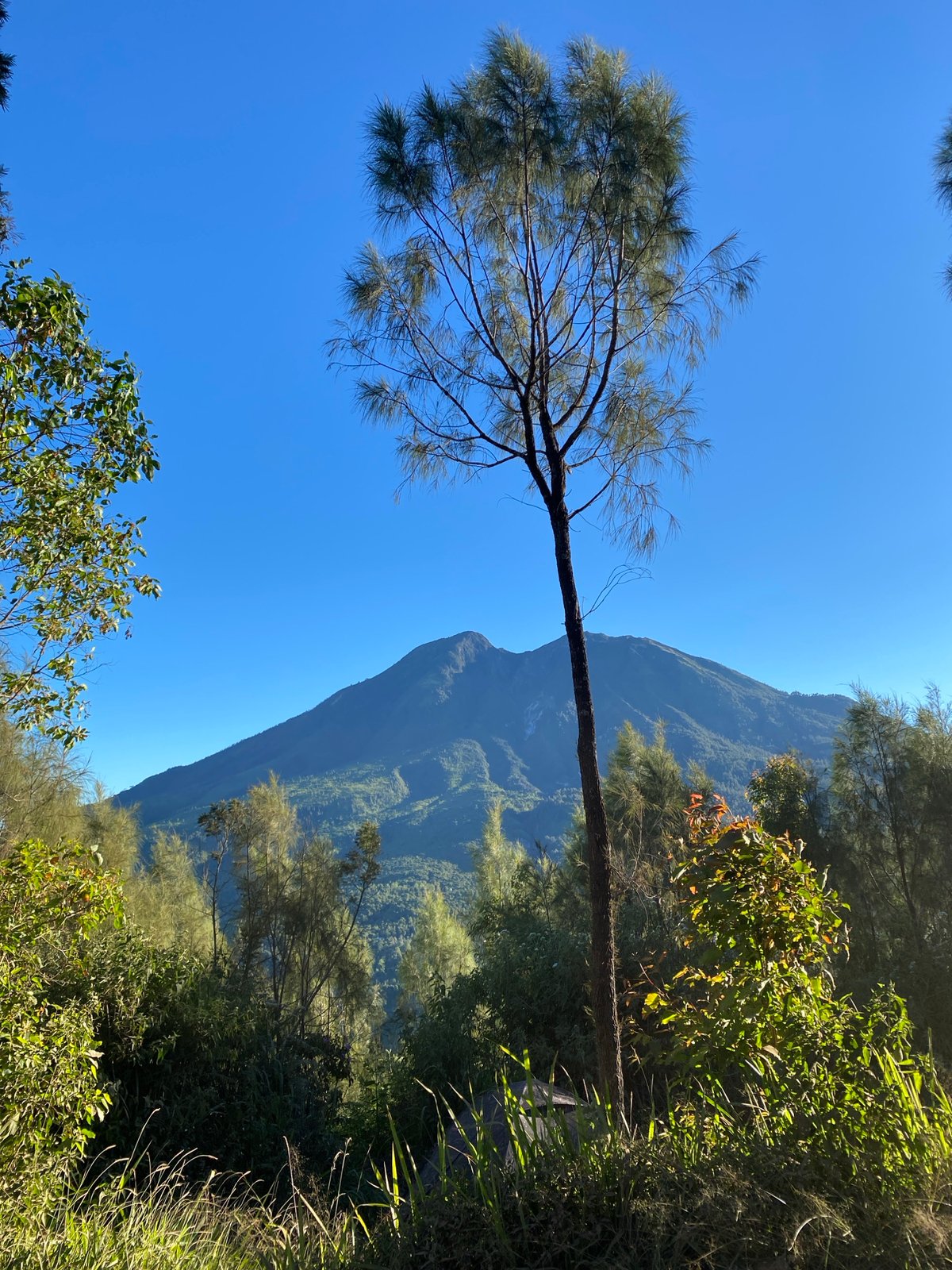 Summit hike to Puncak Candi 2065m, Gondosuli, Indonesia