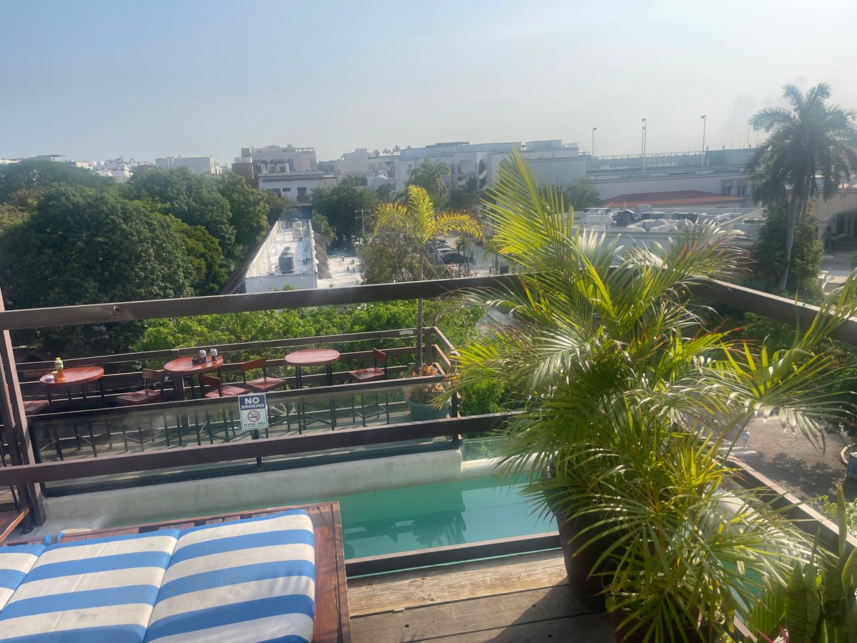 Rooftop pool scene observed in Playa del Carmen