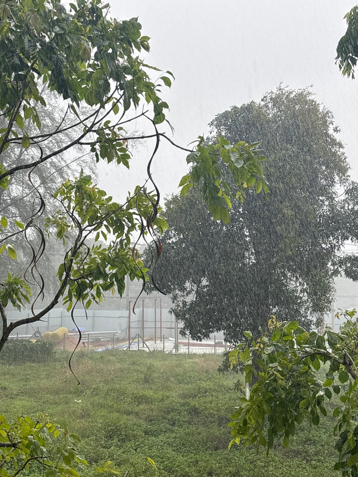 Woman drinks water during heavy rainfall in Thailand