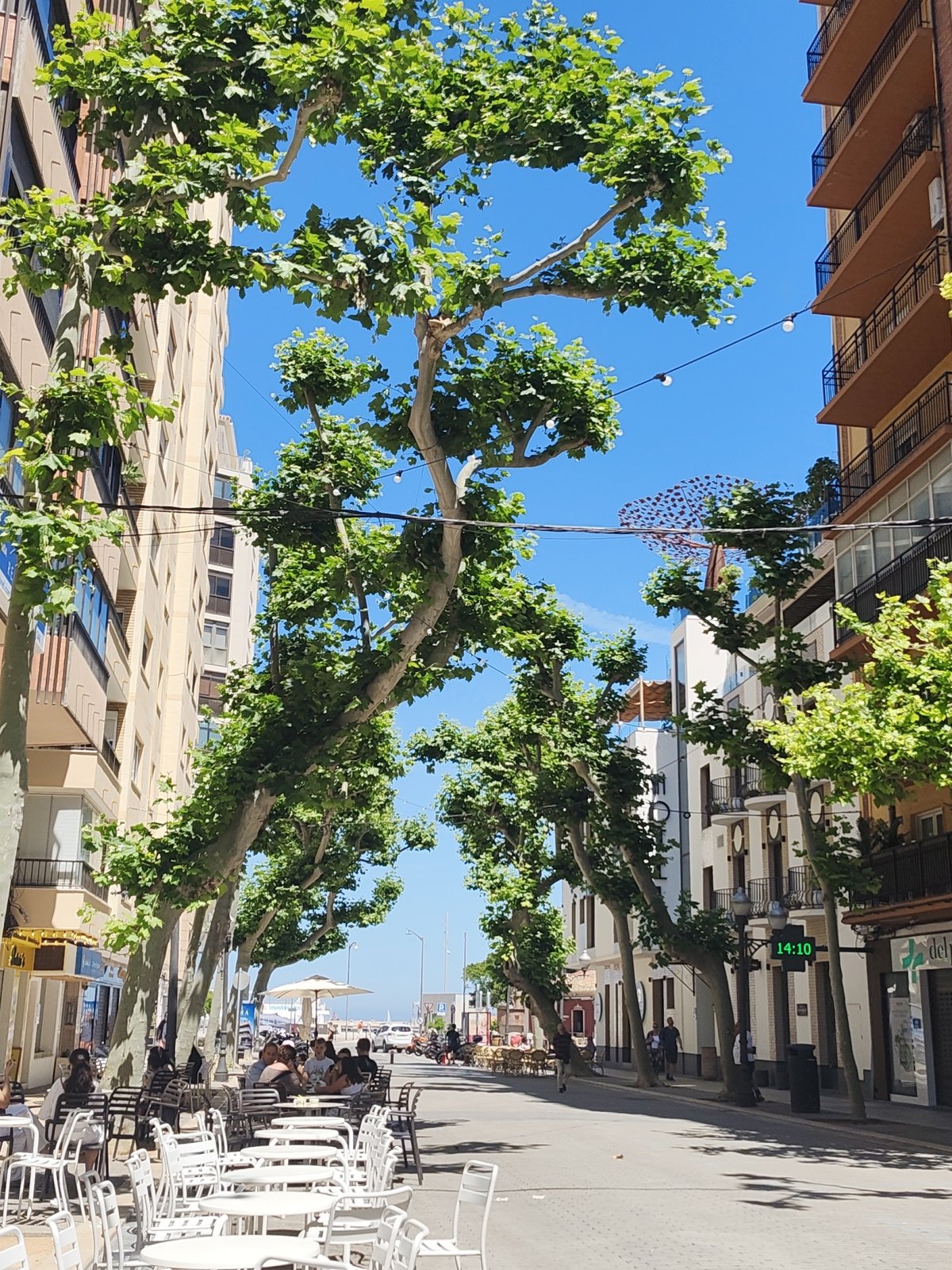 Afternoon cafe life captured in tree-lined Dénia streets