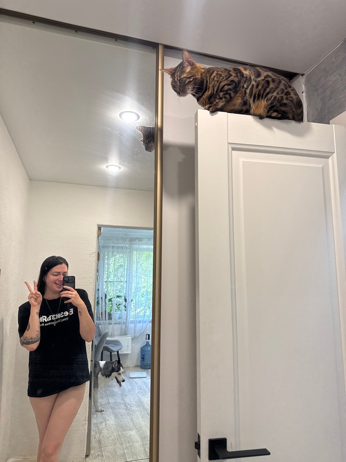 Woman takes selfie as tabby cat roams indoors